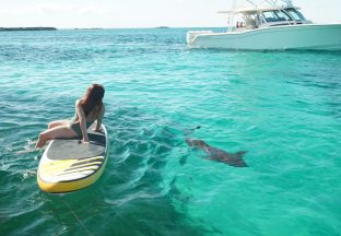 boat charter in Fort Lauderdale