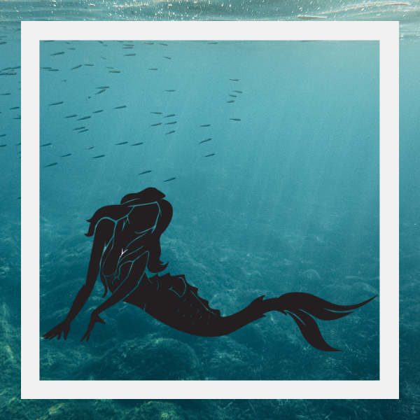 NYC Captain and Crew